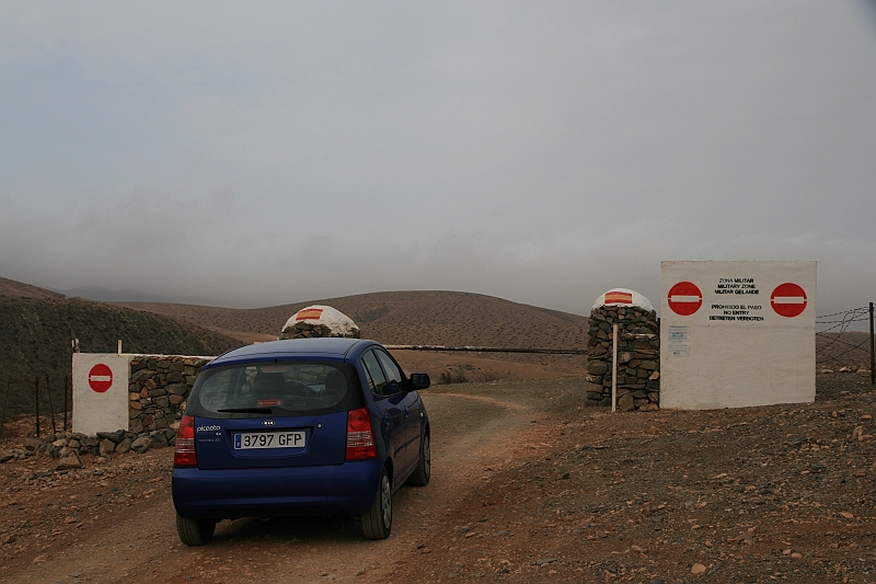 Kanary_2010 007
